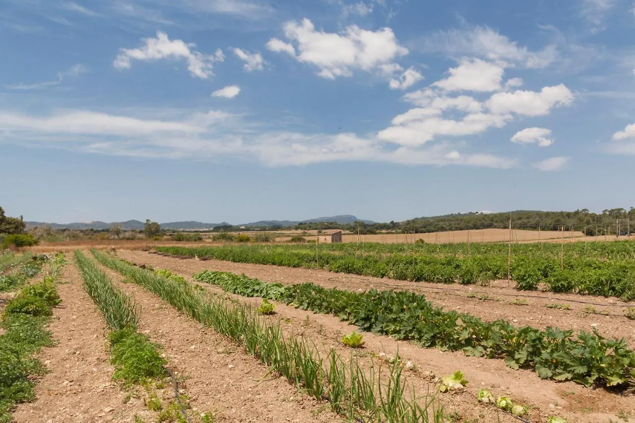 Finca Son Roig Porreres Casa di campagna